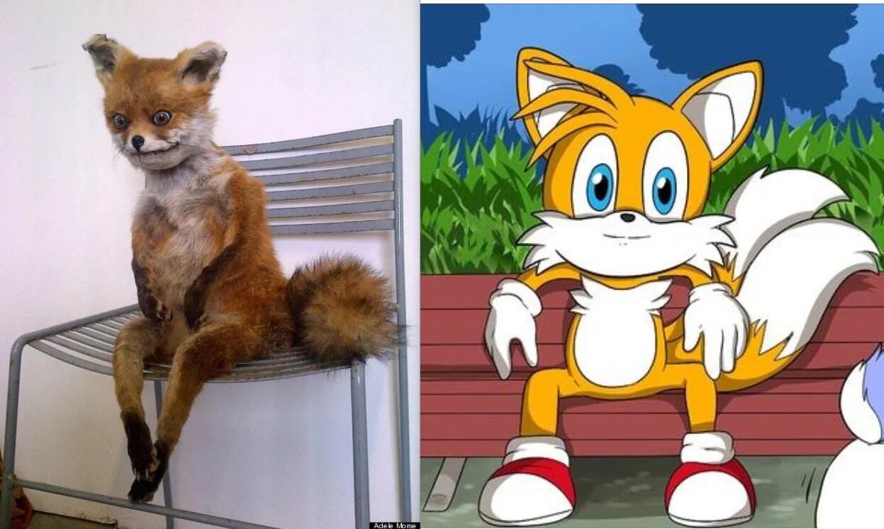 First fox. Two Babies one Fox Sonic. Tails the Fox Sonic movie. Two Babies one Fox Sonic 2 комикс. Tails the Fox movie Постер.