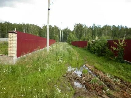 Погода рощино сосновский
