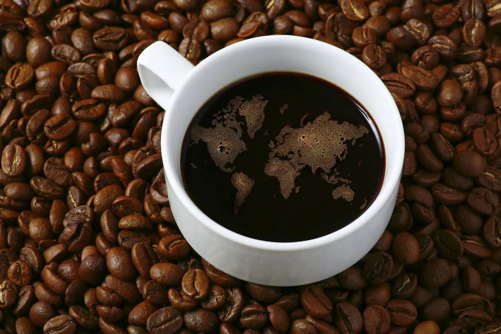Кофе ое. Кофе ПМГ Арабика. Кофейные зерна. Кофе в зернах. День кофейных зерен.