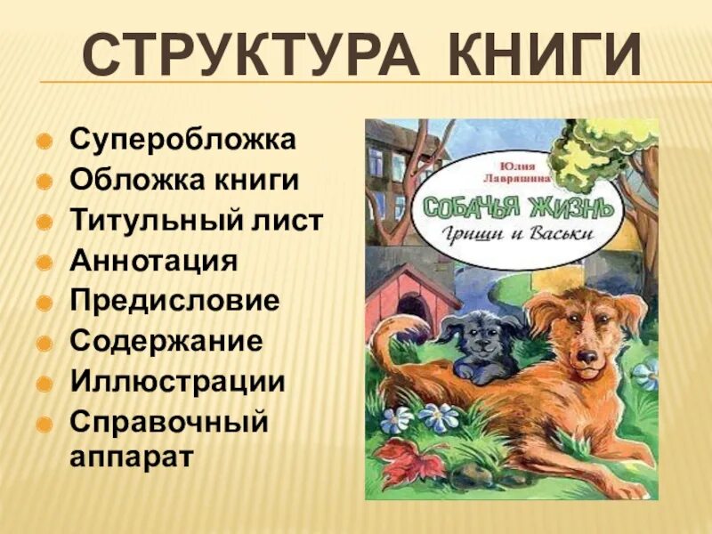 Что содержит книга