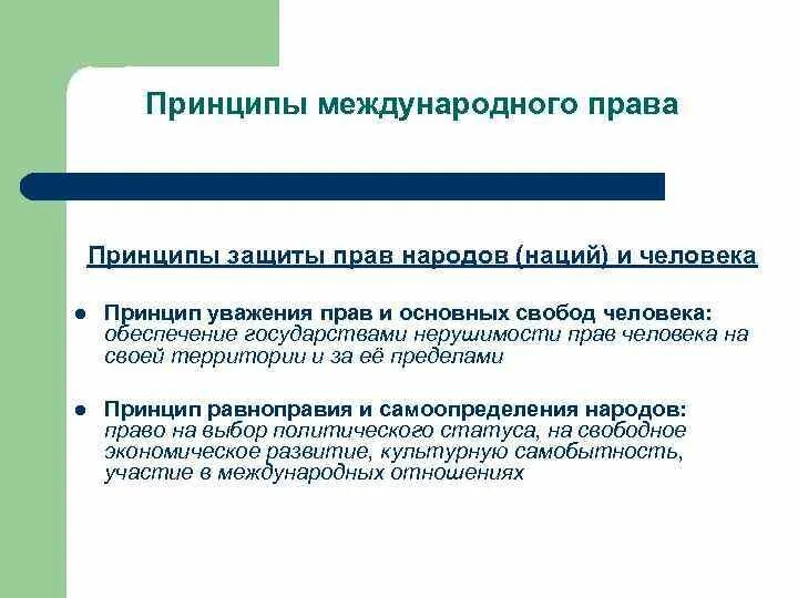 Принципы защиты прав. Международно правовой анализ