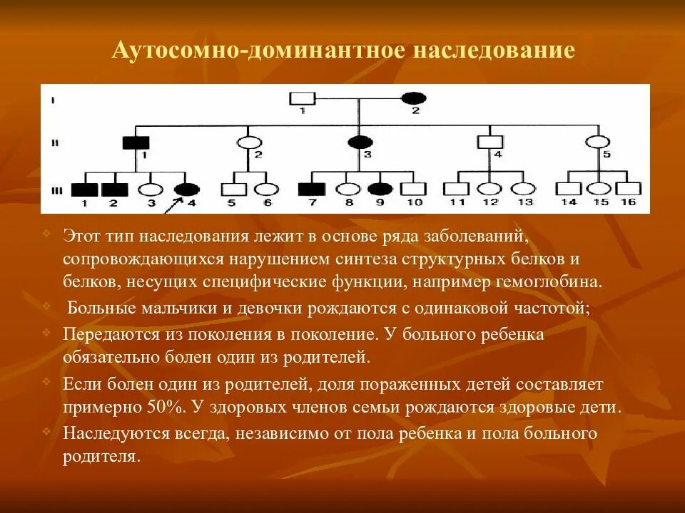 Аутосомное наследование пример. Родословная генетика аутосомно доминантный. Аутосомный доминантный Тип наследования. Ауто доминантный Тип наследования. Родословная с аутосомно доминантным типом наследования заболевания.