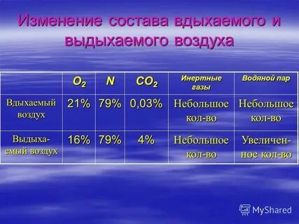 Количество азота в выдыхаемом воздухе