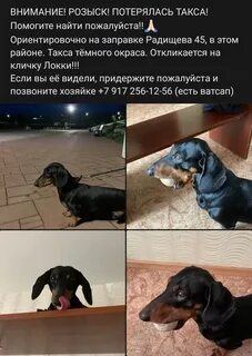 Сев такси спросила такса за проезд какая