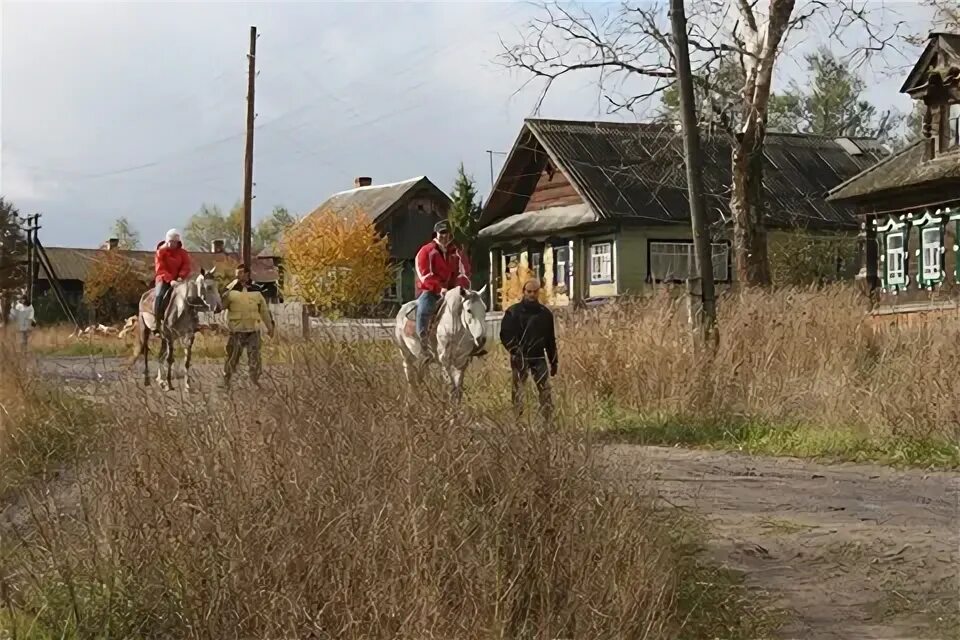 Серая лошадь благовещенское нижегородская область. Село светлое удмуртия конная база. Отдых серая лошадь нижегородская область. База серая лошадь нижегородская область. Ннгу серая лошадь.