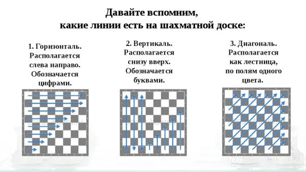 Вертикальная 7 букв. Горизонталь Вертикаль диагональ в шахматах. Диагональ горизонталь Вертикаль на шахматной доске. Горизонтали и вертикали на шахматной доске. Шахматная доска с линиями горизонтали и вертикали.