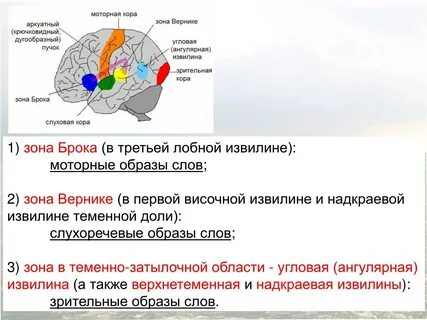 Зона вернике