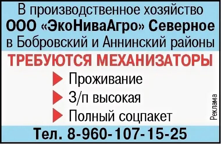 Бобровская газета звезда. Газета звезда Бобровского района. Газета звезда Бобровская.