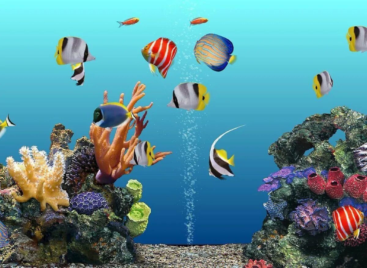 Живые обои рыбки аквариум. Живые рыбки. Живой аквариум. Заставка рыбки плавают. Аквариум 3д.