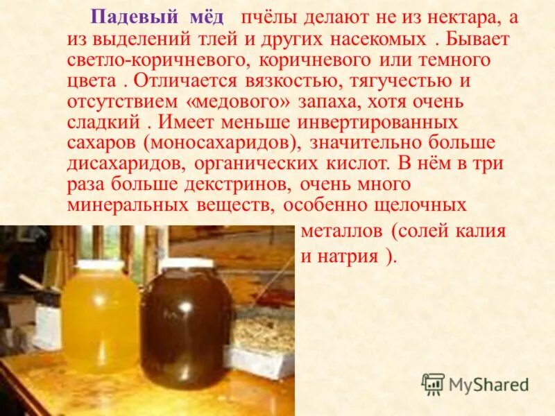Падевый мед фото - ViktoriaFoto.ru