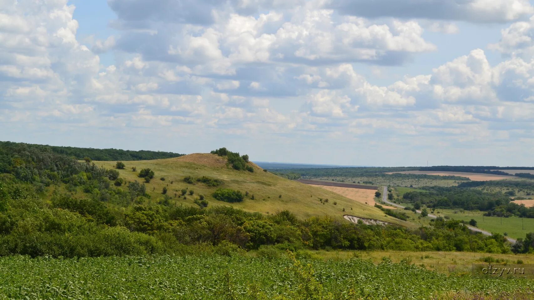 Село Монастырщина Богучарского района. Село Монастырщина Богучарского района Воронежской области. Монастырщина Дон. Заповедник Белогорье Острасьевы Яры. Погода монастырщина воронежской области