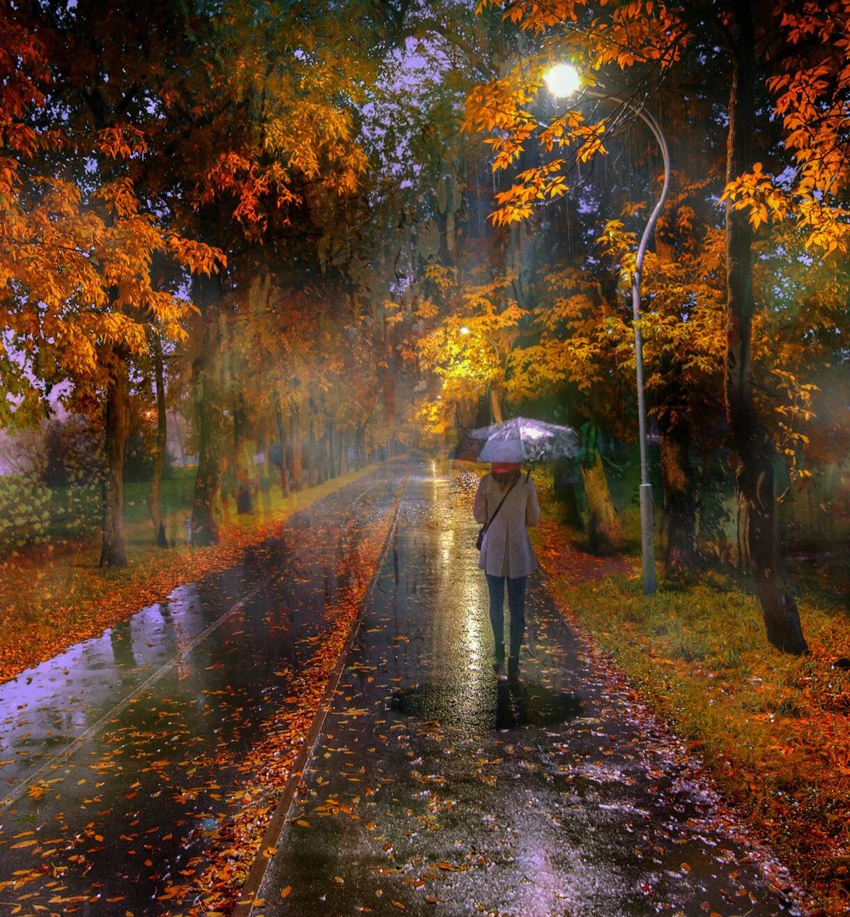 Дождливая осень. Осень дождь. Осенний парк.
