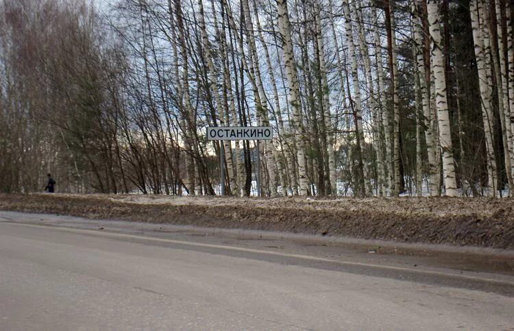 Село останкино. Деревня Останкино Борский район Нижегородской области. Село Останкино Борский район храм. Совхоз Останкинский Борский район. Совхоз Останкинский Борский район Нижегородской области.