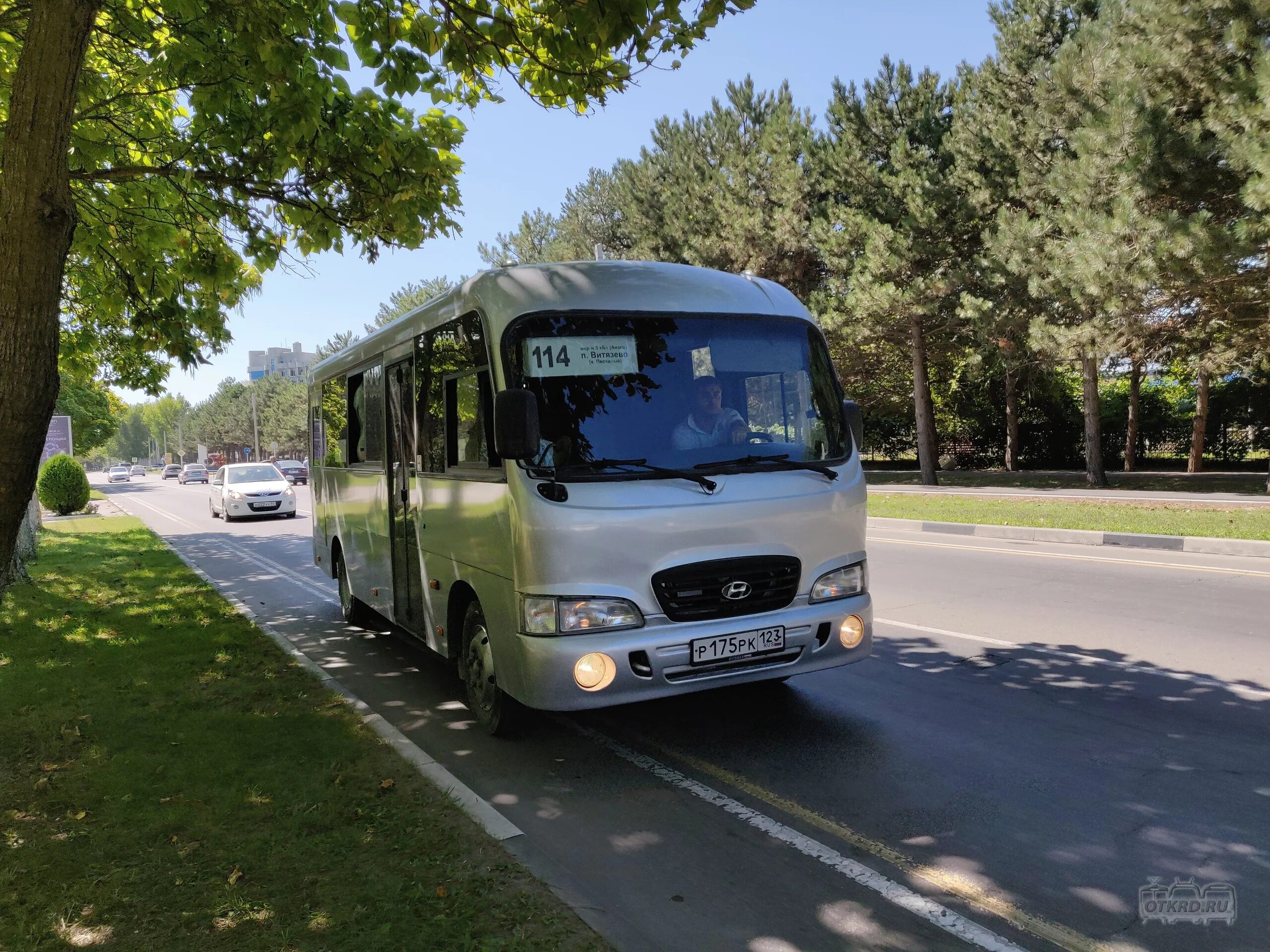 Минеральные воды анапа автобус