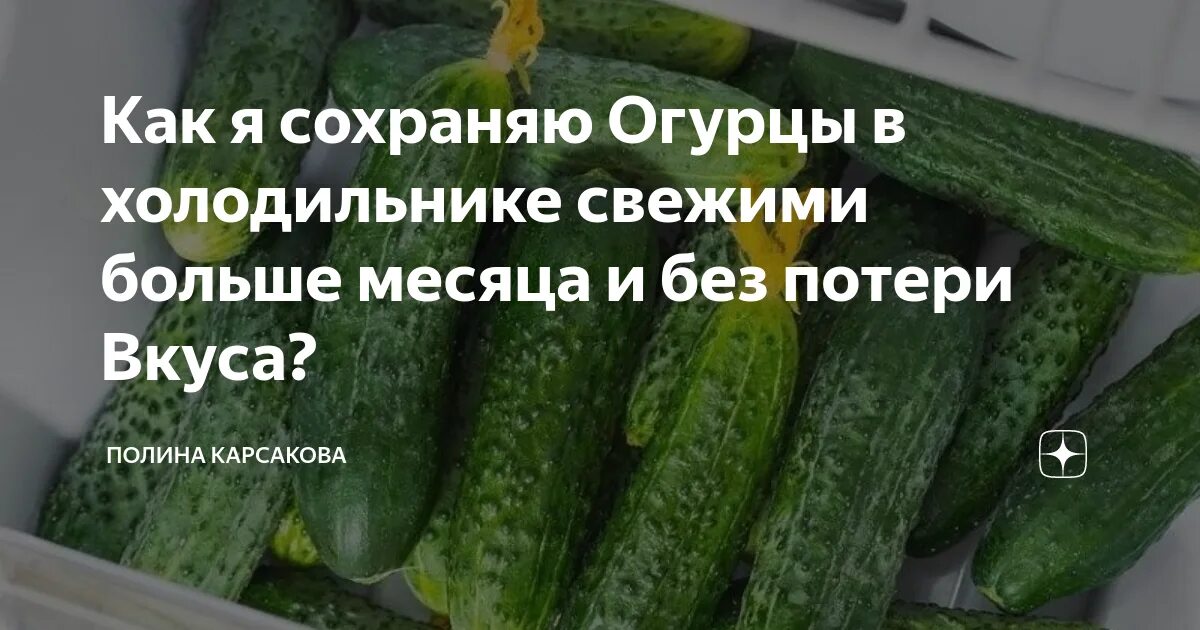 Как сохранить огурцы. Огурцы в холодильнике. Сохранить свежие огурцы. Как сохранить огурцы свежими. Как хранить огурцы в холодильнике.