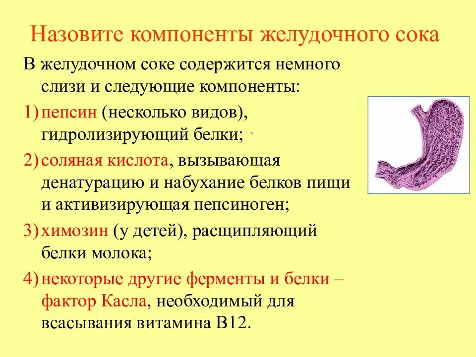 Патологические составляющие желудочного сока. Патологические изменения желудочного сока. Желудочный сок. Состав. Изменения при патологии. Составные компоненты желудочного сока.