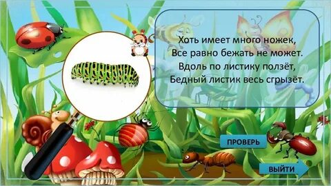 Все равно убегу