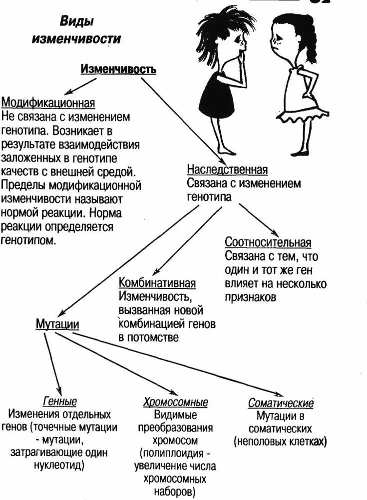 Изменчивость таблица биология. Типы изменчивости схема. Типы изменчивости таблица. Изменчивость типы виды схема. Схема по видам изменчивости.