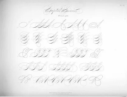 Lettering exercises