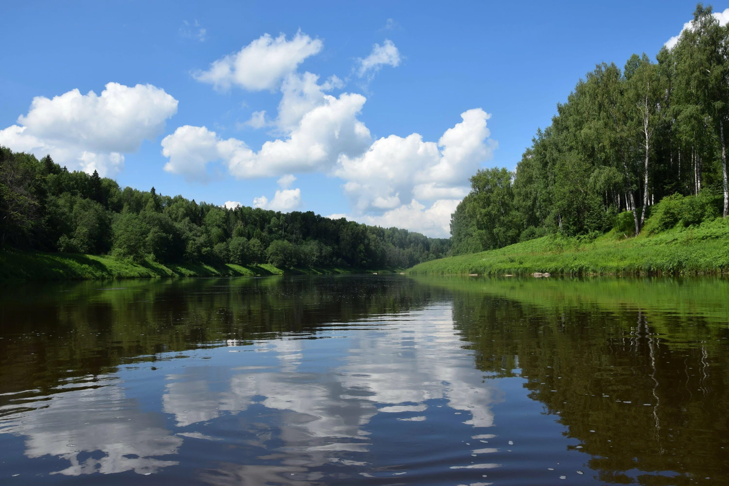 Мста новгородская область. Река Мста Боровичи. Река Мста Новгородская область. Река Мста Любытино. Канал на реке Мста.