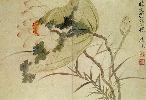 Цай няо
