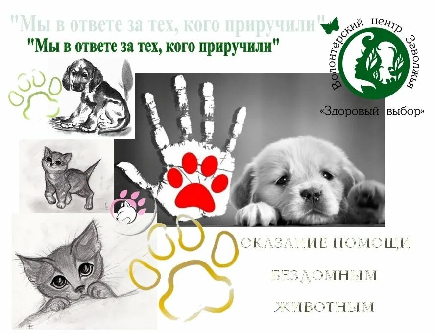 Помощь животным 2 класс. Плакат бездомные животные. Листовка о защите животных. Плакат о бездомных животных. Плакат помощь животным.