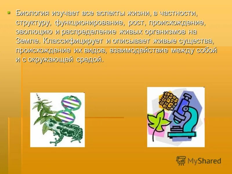 Зачем биология. Биология. Причина изучения биологии. Зачем нужно изучать биологию. Необходимость изучения биологии.