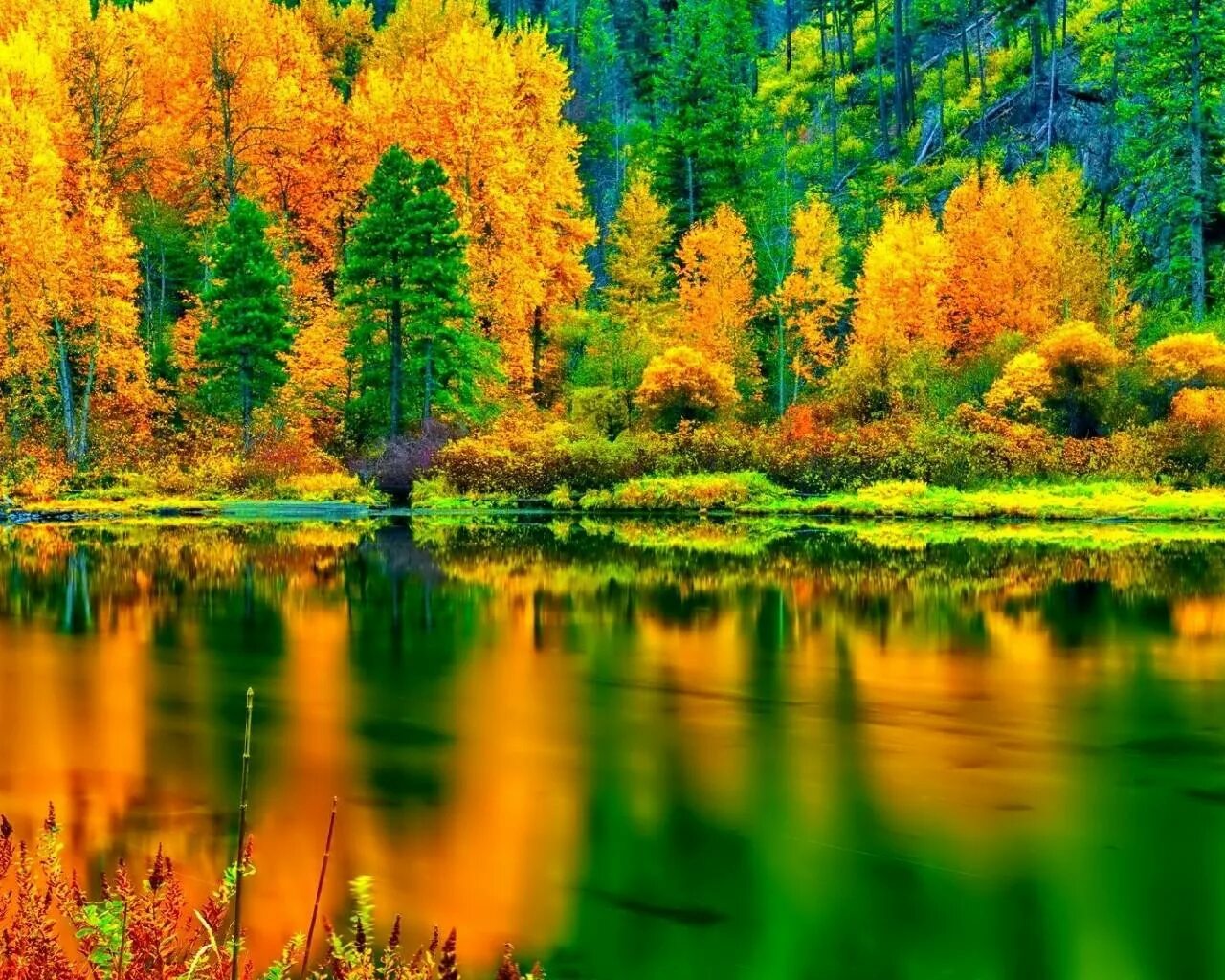 Красивая осень. Природа. Яркая природа. Прекрасная природа.