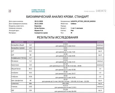 Биохимические исследования анализы