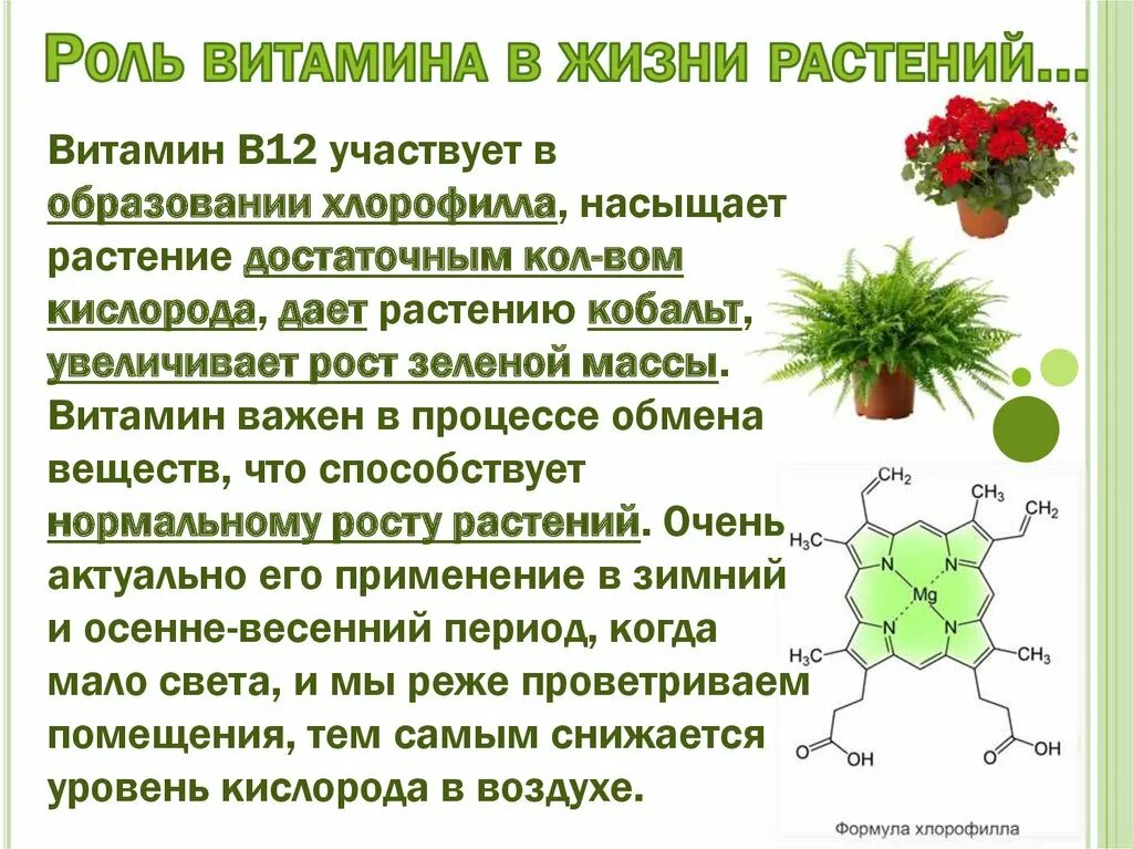 Растения содержащее витамины. Витамины для растений. витамин в12 реакция организма. витамин в12 в растениях. витамин б12 растительный.