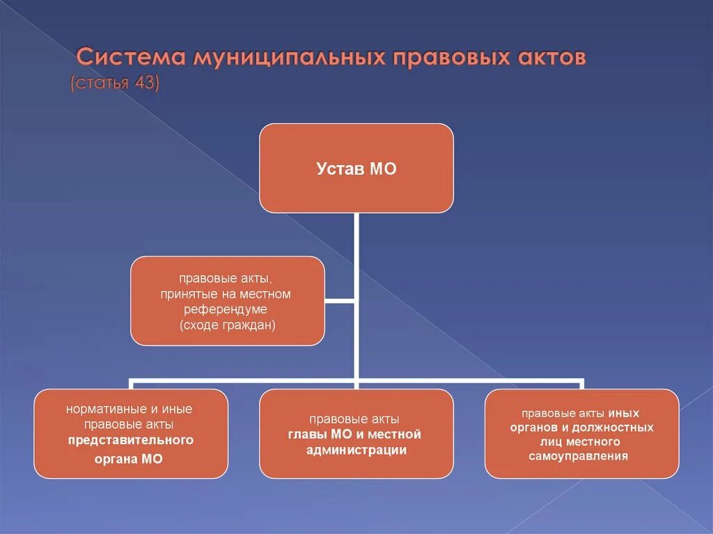 Муниципальные решения виды