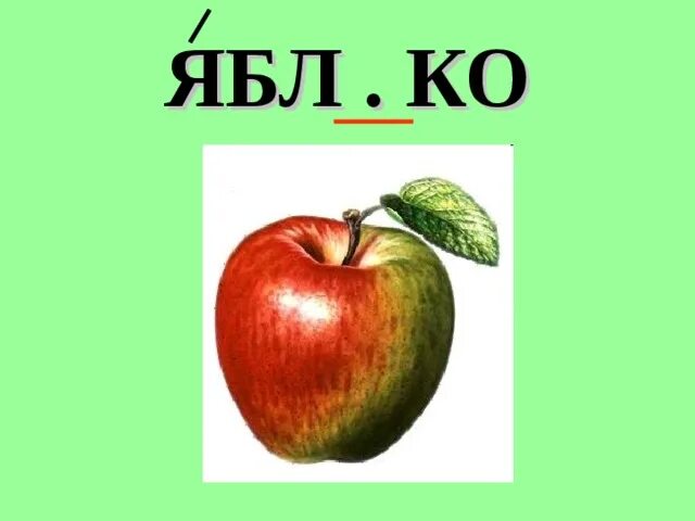 Словарное слово яблоко в картинках. Словарные слова яблоко яблоня. Я локо словарное слово. Словарные слова яблоко яблоня. Словарное слово яблоня.