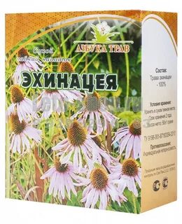 Эхинацея состав