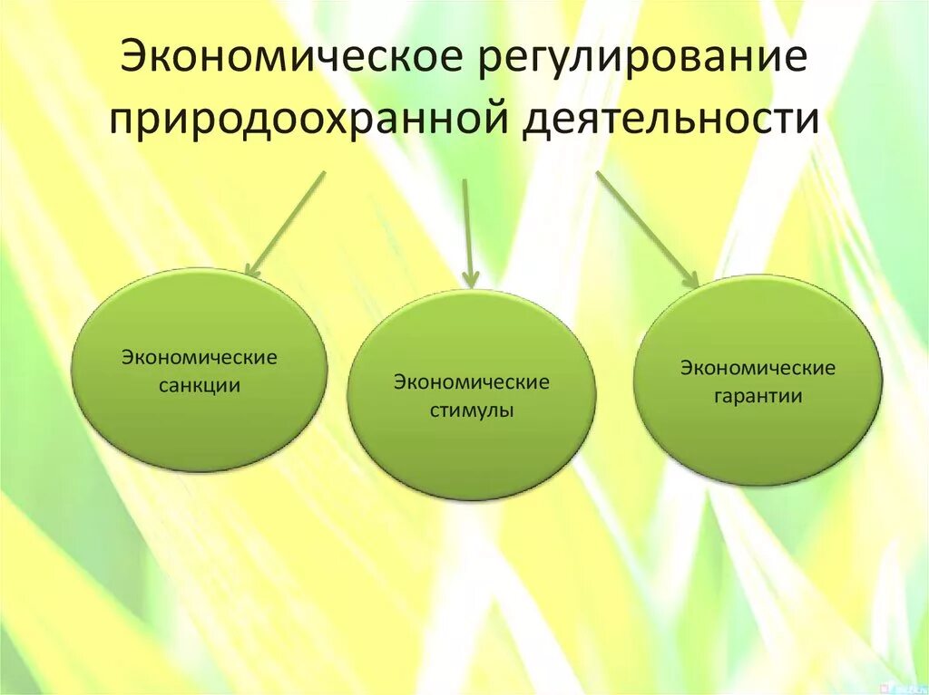 Экономические механизмы управления природоохранной деятельностью. Экономическое стимулирование природоохранной деятельности. Экономическое регулирование природоохранной деятельности. Понятие природоохранной деятельности.