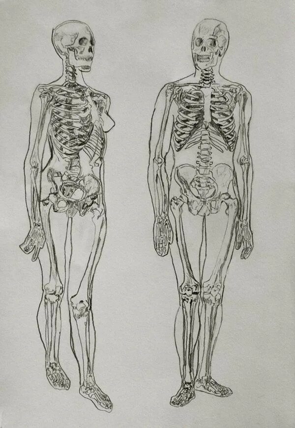Practical anatomy