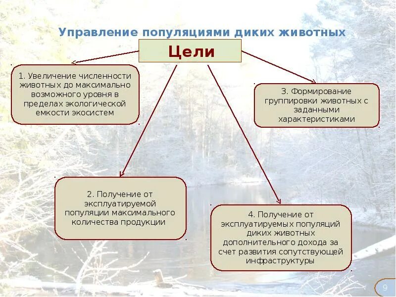 Управление ресурсным состоянием. Управление природными ресурсами. Управление популяциями экология. Перспективы охотничьих ресурсов. Группировки животных