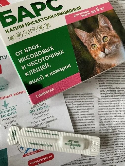 Кошка слизнула капли от блох что делать. Кошка слизнула капли от блох что делать