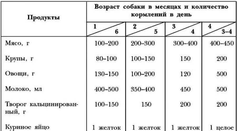 Сколько мяса нужно собаке. Рацион щенка немецкой овчарки щенка 2 месяца. Таблица кормления щенка немецкой овчарки. Корм для щенков немецкой овчарки 3 месяца. Нормы кормления щенков 2 мес немецкой овчарки.