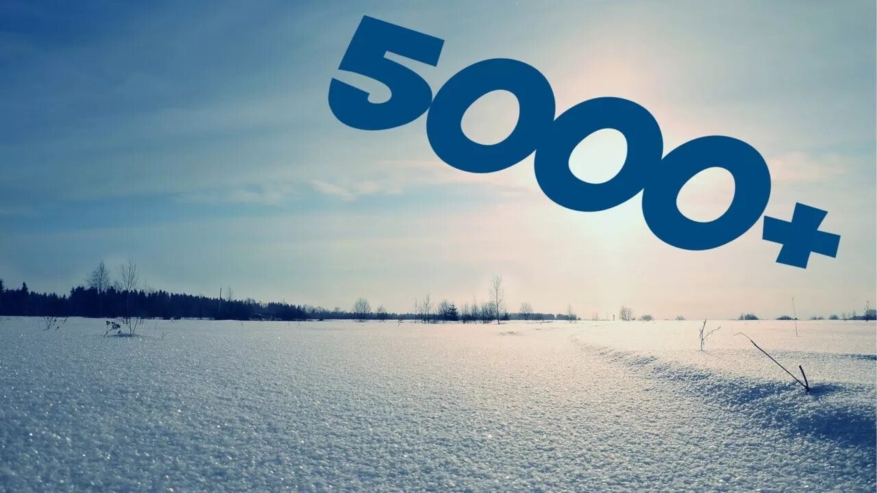 Likeex 5000 подписчиков. 5000 Подписчиков. 5000 Подписчиков на ютуб. 5000 Участников в группе. 5000 Подписчиков ВК.