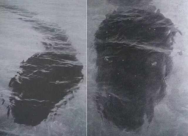 Монстр острова хук. Морское чудовище, снятое у берегов острова хук (март 1965). 10 Самых загадочных фотографий в истории. Самого загадочного человека в истории