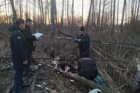 Найдены тамбов