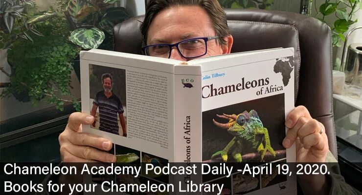 Cameleon Academy. Сайрус хамелеон книга. Хамелеон много карточек пособие.