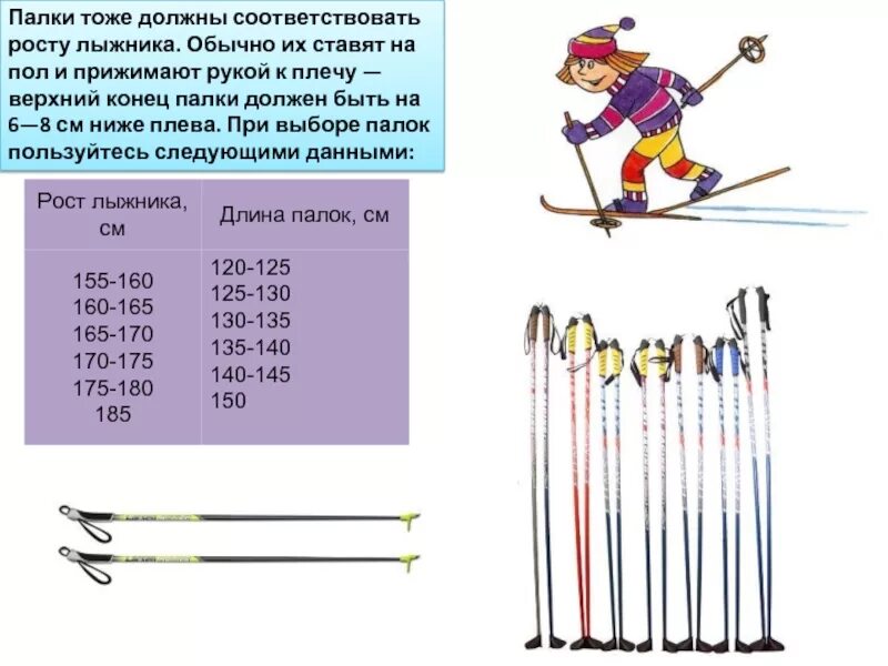 Как должен поступить лыжник. Длина лыж. Палки для лыж. Лыжный спорт палки для лыжников. Палки лыжные должны быть для лыжника ростом.