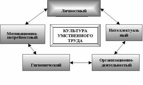Культура интеллектуальной деятельности