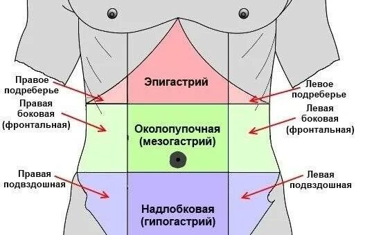 Средняя часть живота. Области живота. Болит в области живота. Боль в эпигастральной области. Разделение живота на области.