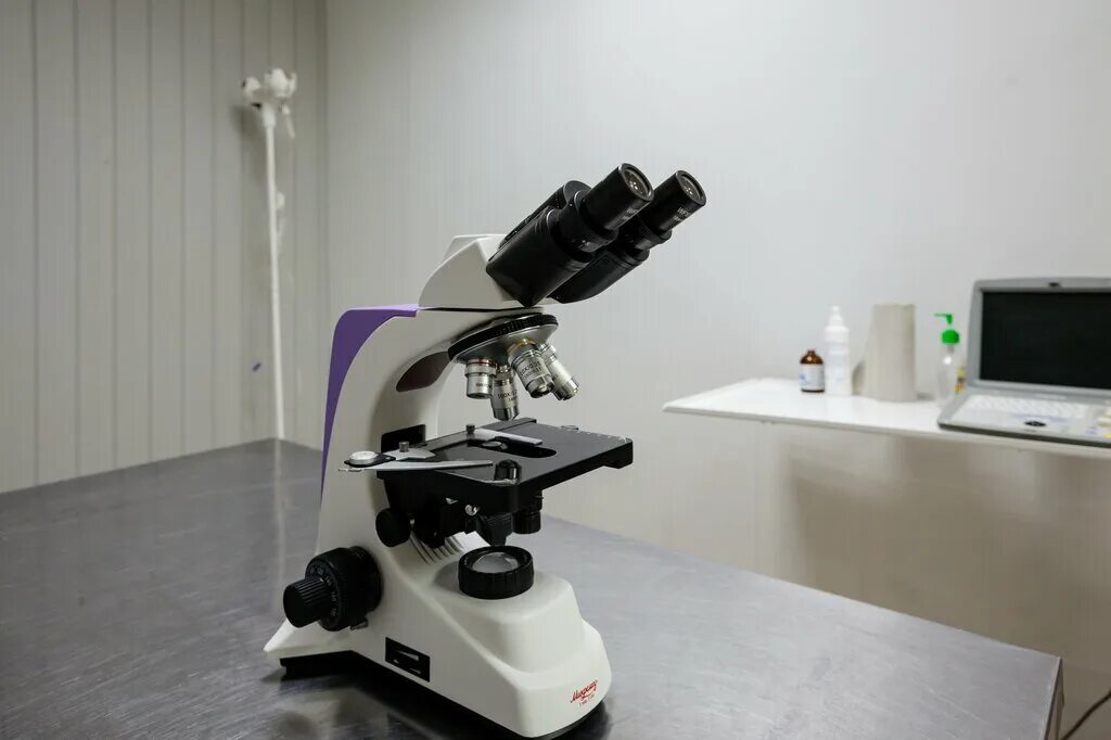 ветеринарная клиника ногинск. ветеринарная клиника обнинск. мокрый нос обнинск. мокрый нос обнинск. мокрый нос ишим.