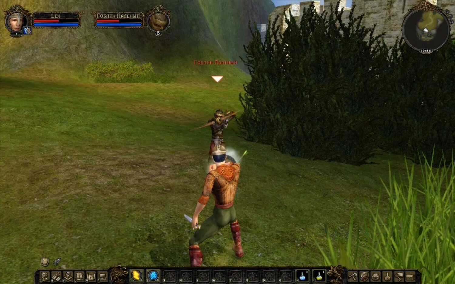 Игра dungeon lords. Dungeon lords 2012. Боленские поля dungeon lords. Dungeon lords mmxii. Дунгеон лордс.