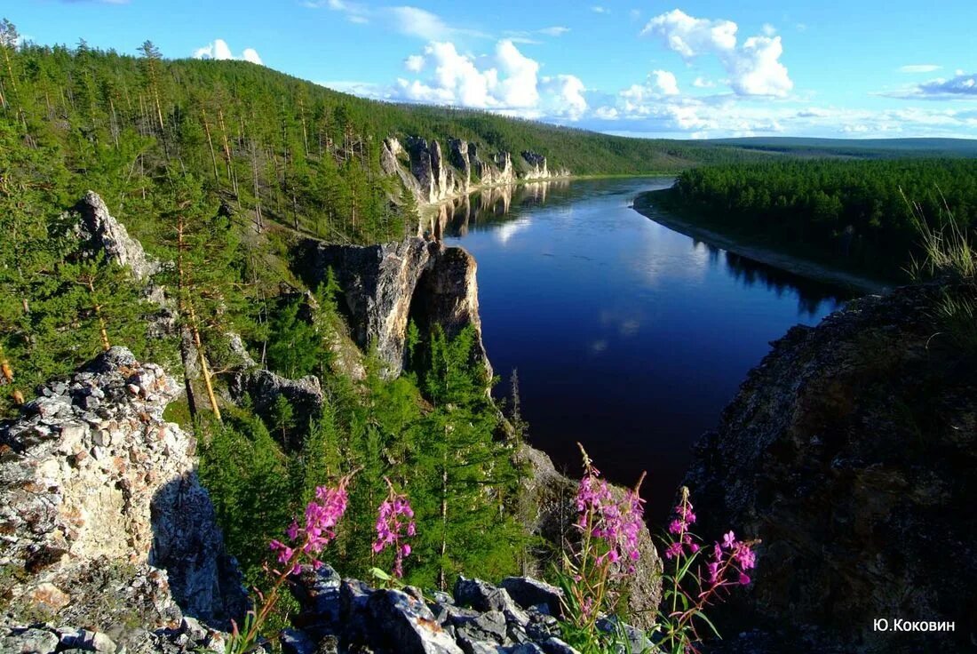 Фото республики саха якутия. Саха Якутия природа. Река Амга Якутия. Республика Саха Якутия о Республике. Природа Якутии Амга.