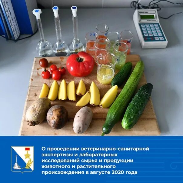 Гигиеническая экспертиза пищевых продуктов. Ветеринарно санитарная экспертиза продукция. ВСЭ растительных продуктов на рынке. Сан экспертиза продуктов. Ветеринарно-санитарная экспертиза растительных продуктов.