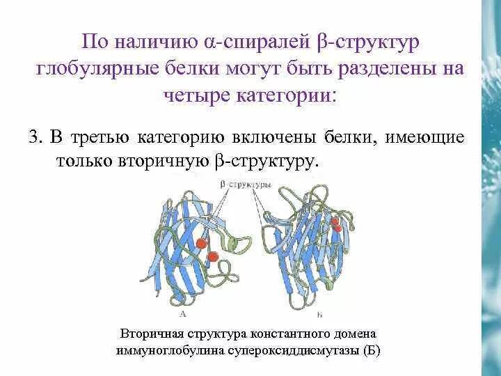 Структура белка представленная глобулой. Структура глобулярных белков. Вторичная структура глобулярных белков. Вторичная структура белка глобула. Четвертичная структура глобулярных белков:.